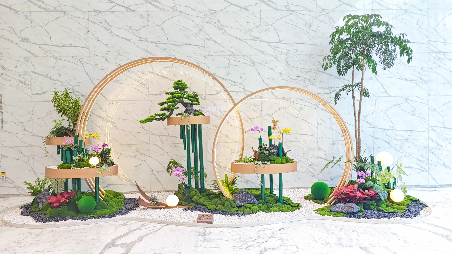 专业绿植出租服务,宁波北仑商业空间的绿色之选!